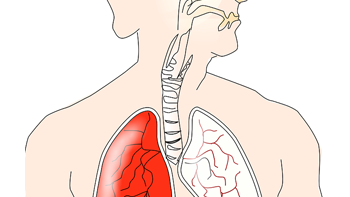 Dr Sreekumar Homeopathic Clinic